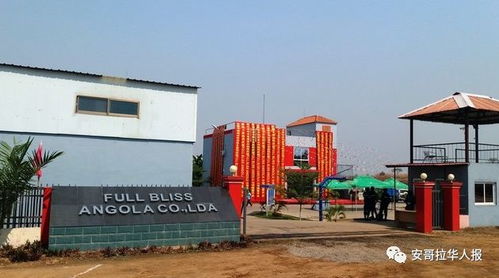 綠色發(fā)展新引擎 中國(guó)企業(yè)投資的廢品回收與塑料制品一體化工廠盛大開業(yè)